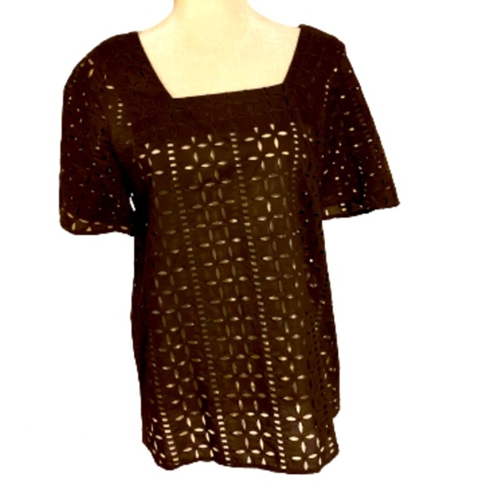 Loft Ann Taylor Brown Eyelet Pull Over Top